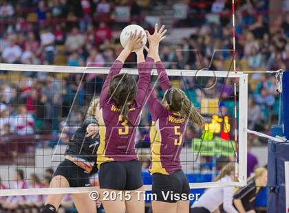 Thumbnail 1 in Windsor vs. Mead (CHSAA 4A Playoff) photogallery.