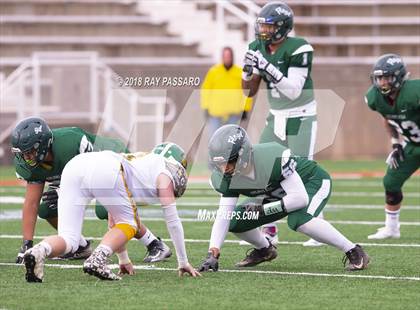 Thumbnail 2 in William Floyd vs. Ward Melville - Section XI Division I Finals photogallery.
