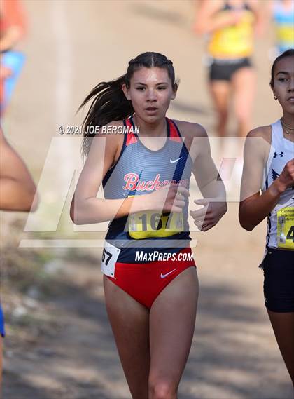 Thumbnail 1 in CIF State Cross Country Championships (Girls D1 Race) photogallery.