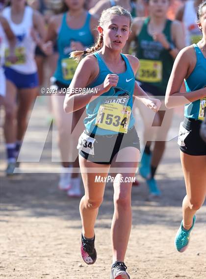 Thumbnail 1 in CIF State Cross Country Championships (Girls D1 Race) photogallery.