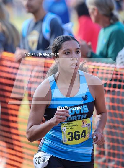 Thumbnail 1 in CIF State Cross Country Championships (Girls D1 Race) photogallery.