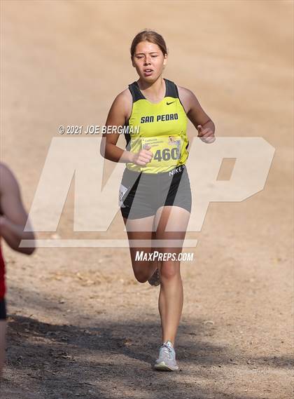 Thumbnail 1 in CIF State Cross Country Championships (Girls D1 Race) photogallery.