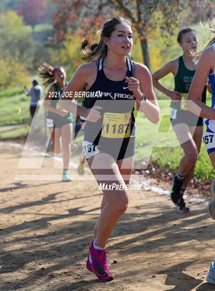 Thumbnail 1 in CIF State Cross Country Championships (Girls D1 Race) photogallery.