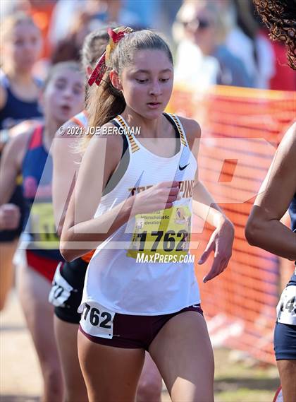 Thumbnail 2 in CIF State Cross Country Championships (Girls D1 Race) photogallery.