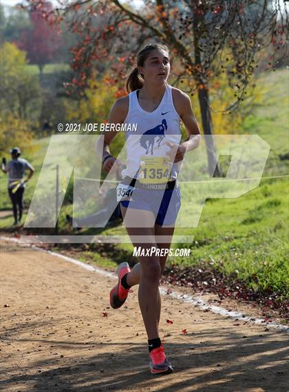 Thumbnail 2 in CIF State Cross Country Championships (Girls D1 Race) photogallery.