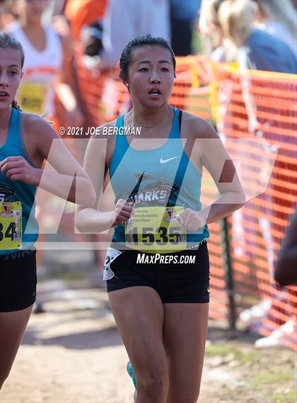 Thumbnail 1 in CIF State Cross Country Championships (Girls D1 Race) photogallery.