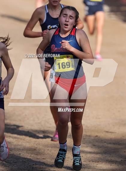 Thumbnail 1 in CIF State Cross Country Championships (Girls D1 Race) photogallery.