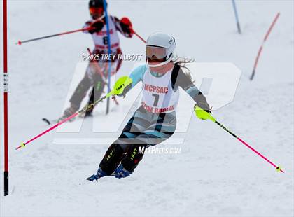 Thumbnail 2 in MCPSAC Hunt Hollow Slalom (Second Run) photogallery.
