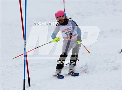 Thumbnail 3 in MCPSAC Hunt Hollow Slalom (Second Run) photogallery.