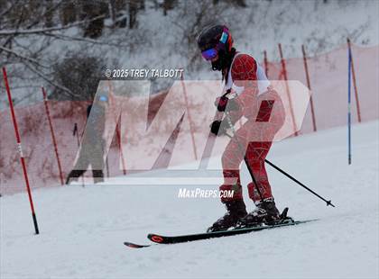 Thumbnail 3 in MCPSAC Hunt Hollow Slalom (Second Run) photogallery.