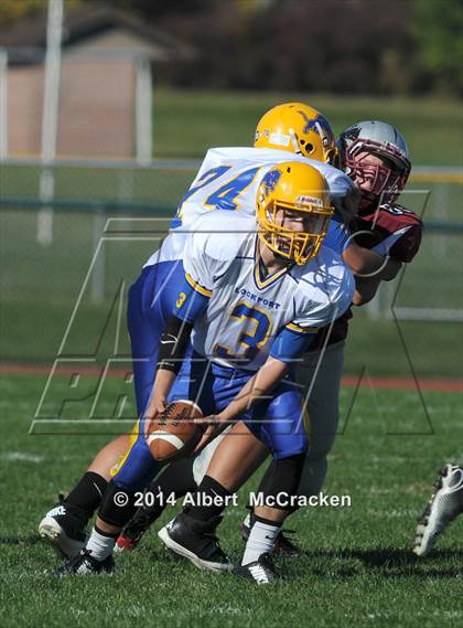 Thumbnail 3 in Lockport @ Starpoint photogallery.