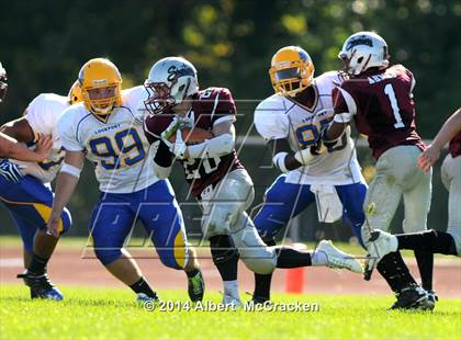 Thumbnail 3 in Lockport @ Starpoint photogallery.