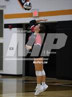 Photo from the gallery "Circleville @ Amanda-Clearcreek"