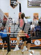 Photo from the gallery "Circleville @ Amanda-Clearcreek"