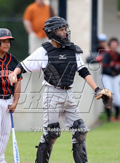 Thumbnail 3 in Ferris vs Crandall photogallery.