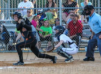 Thumbnail 1 in Atlantic Coast vs. Sandalwood photogallery.