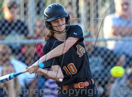 Thumbnail 3 in Atlantic Coast vs. Sandalwood photogallery.