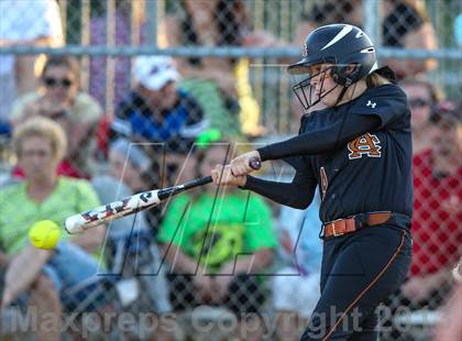 Thumbnail 2 in Atlantic Coast vs. Sandalwood photogallery.