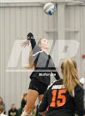 Photo from the gallery "Brighton vs. Trenton"