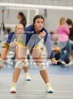 Photo from the gallery "Brighton vs. Trenton"