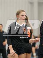 Photo from the gallery "Brighton vs. Trenton"
