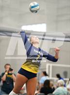 Photo from the gallery "Brighton vs. Trenton"
