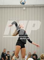 Photo from the gallery "Brighton vs. Trenton"