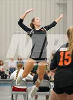 Photo from the gallery "Brighton vs. Trenton"