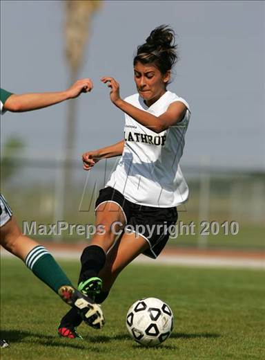 null - Photo 41