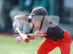 Photo from the gallery "Los Gatos @ Palo Alto"