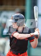 Photo from the gallery "Los Gatos @ Palo Alto"