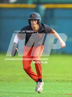 Photo from the gallery "Los Gatos @ Palo Alto"