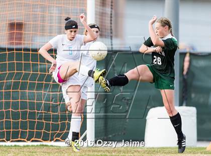 Thumbnail 2 in Johnson [Claudia Taylor] vs Reagan [Ronald]  photogallery.