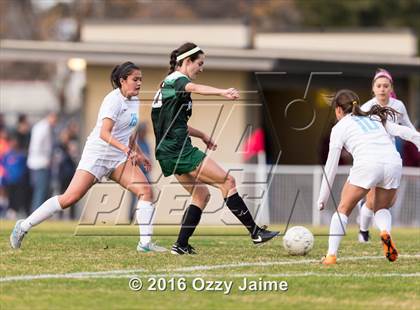 Thumbnail 3 in Johnson [Claudia Taylor] vs Reagan [Ronald]  photogallery.