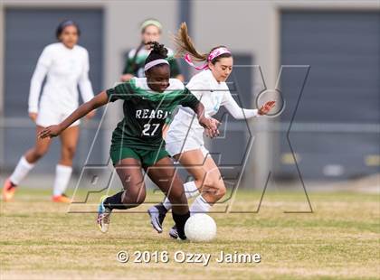 Thumbnail 3 in Johnson [Claudia Taylor] vs Reagan [Ronald]  photogallery.