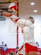 Photo from the gallery "Collinsville @ S & S Consolidated"