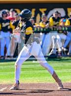 Photo from the gallery "Desert Ridge @ Gilbert"