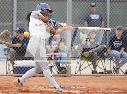 Thumbnail 2 in Pinnacle vs. Chandler (Hamilton Invitational) photogallery.