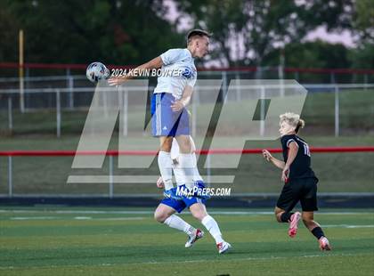 Thumbnail 3 in Highland @ Marion Harding photogallery.