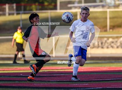 Thumbnail 3 in Highland @ Marion Harding photogallery.