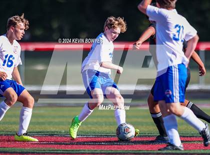 Thumbnail 3 in Highland @ Marion Harding photogallery.