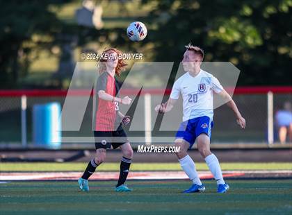 Thumbnail 3 in Highland @ Marion Harding photogallery.