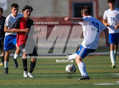Thumbnail 3 in Highland @ Marion Harding photogallery.