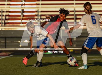Thumbnail 3 in Highland @ Marion Harding photogallery.