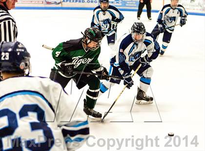 Thumbnail 3 in Summit @ Ralston Valley photogallery.