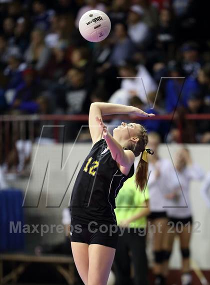 Thumbnail 1 in Caliche vs. Stratton (CHSAA 1A Pool II) photogallery.
