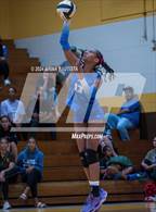 Photo from the gallery "Moanalua @ Kalaheo"