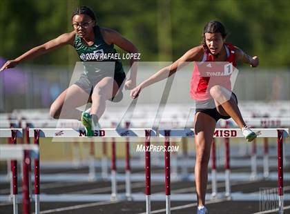 Thumbnail 2 in Dog Pound Invitational (100M Hurdles) photogallery.