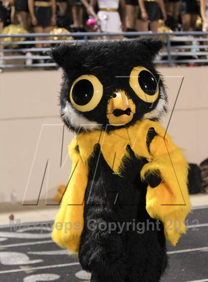 Thumbnail 2 in Garland @ Plano East photogallery.