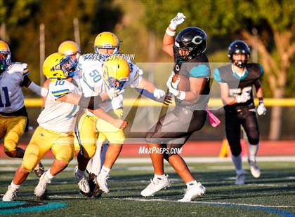Thumbnail 2 in Oak Grove @ Christopher photogallery.